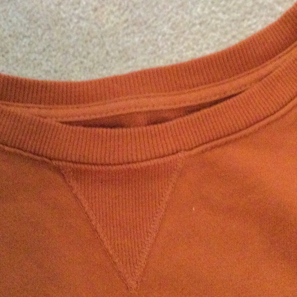 Terra & Sky Sweatshirt Top. NWOT - Picture 7 of 9
